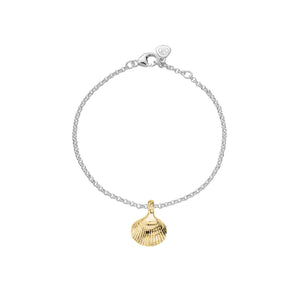 Silver & Gold Mini Shell Anklet