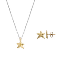 Silver & Gold Mini Star Gift Set