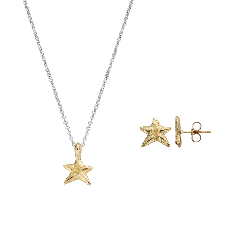 Silver & Gold Mini Star Gift Set