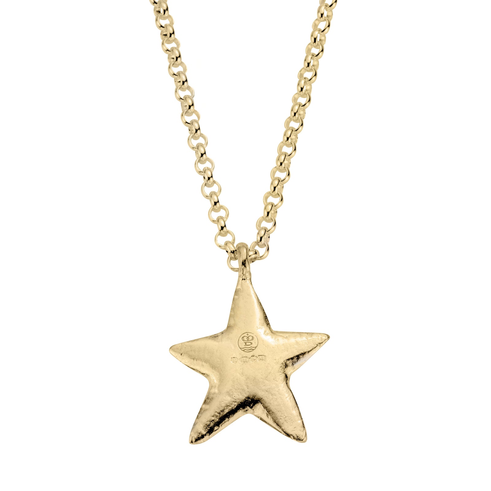 Gold Maxi Star Necklace with Paw Print