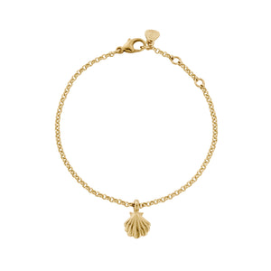 Gold Scallop Shell Chain Bracelet