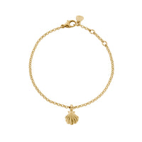 Gold Scallop Shell Chain Bracelet
