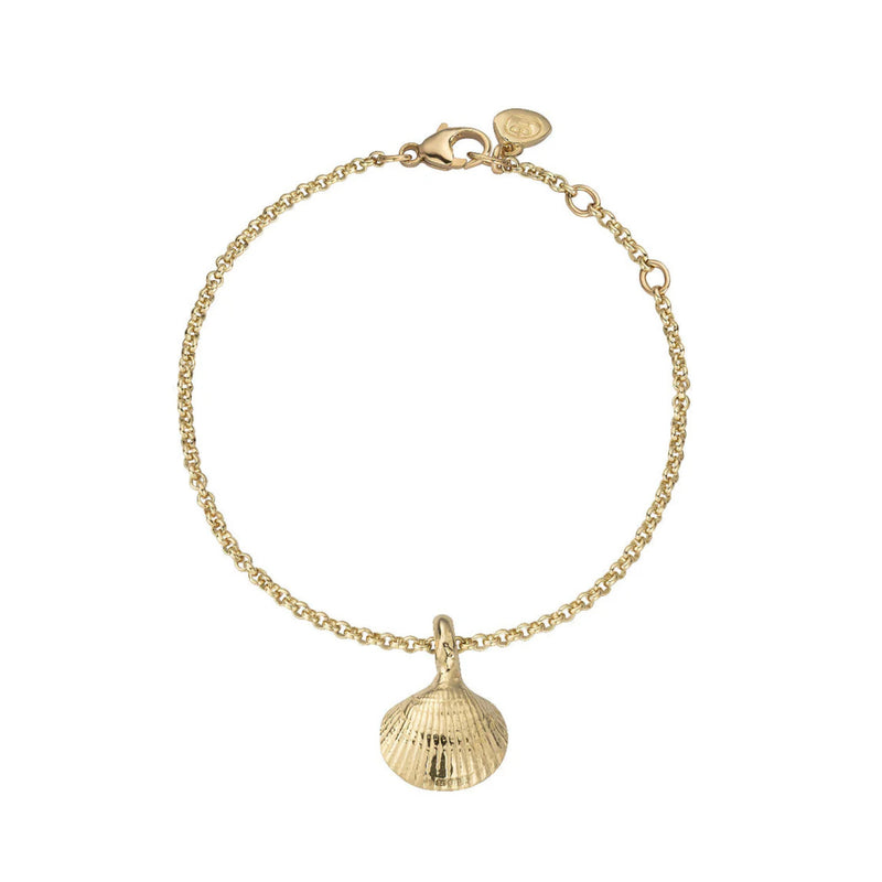 Gold Mini Shell Chain Bracelet