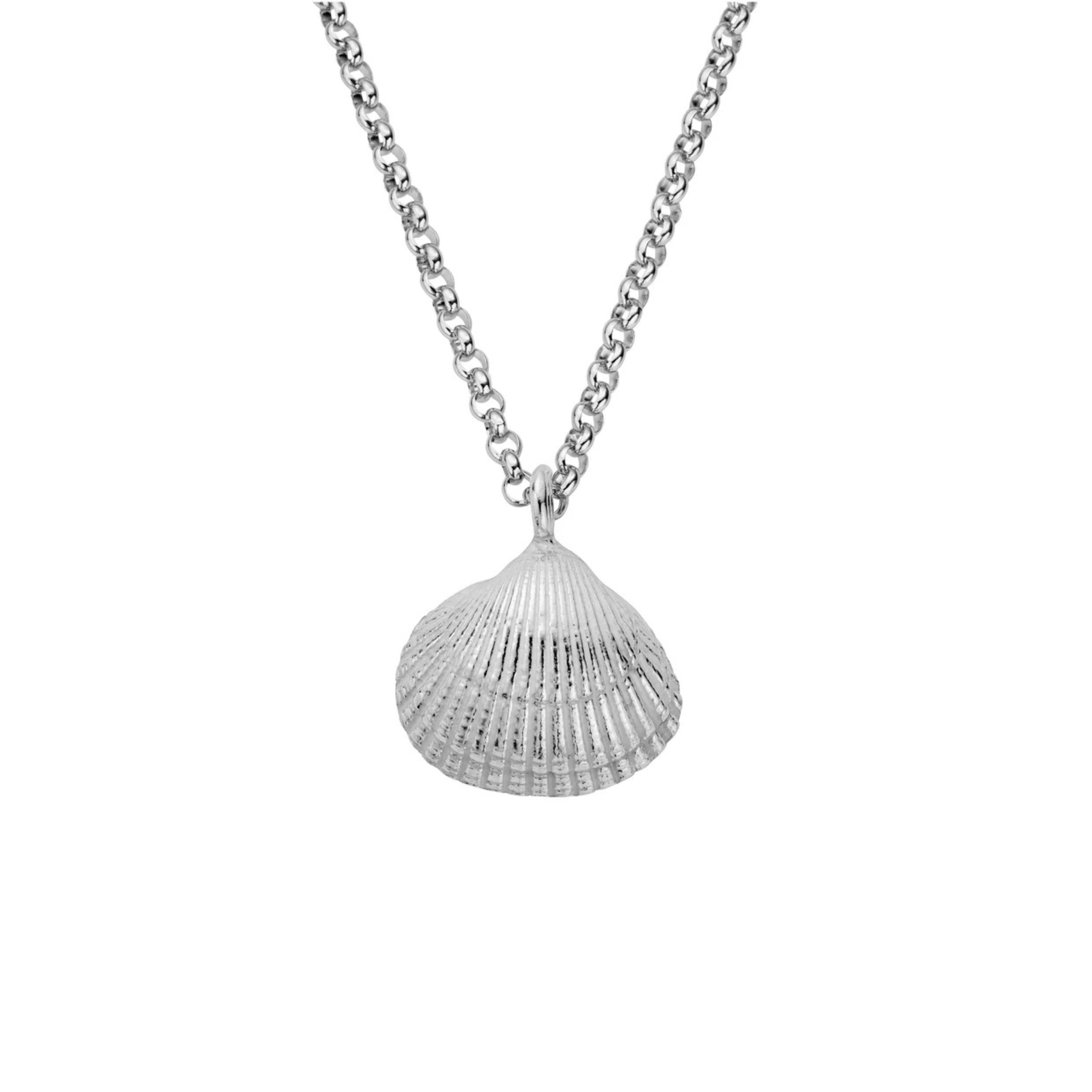 Silver Maxi Shell Necklace