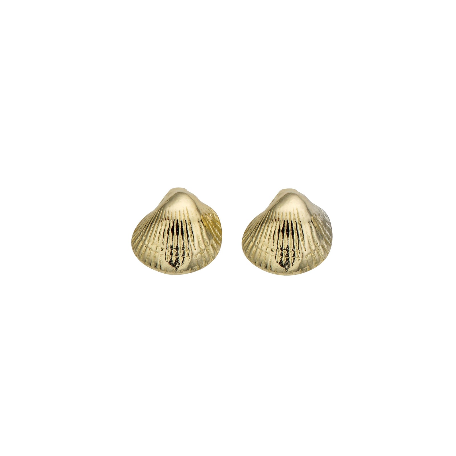 Gold Baby Shell Stud Earrings