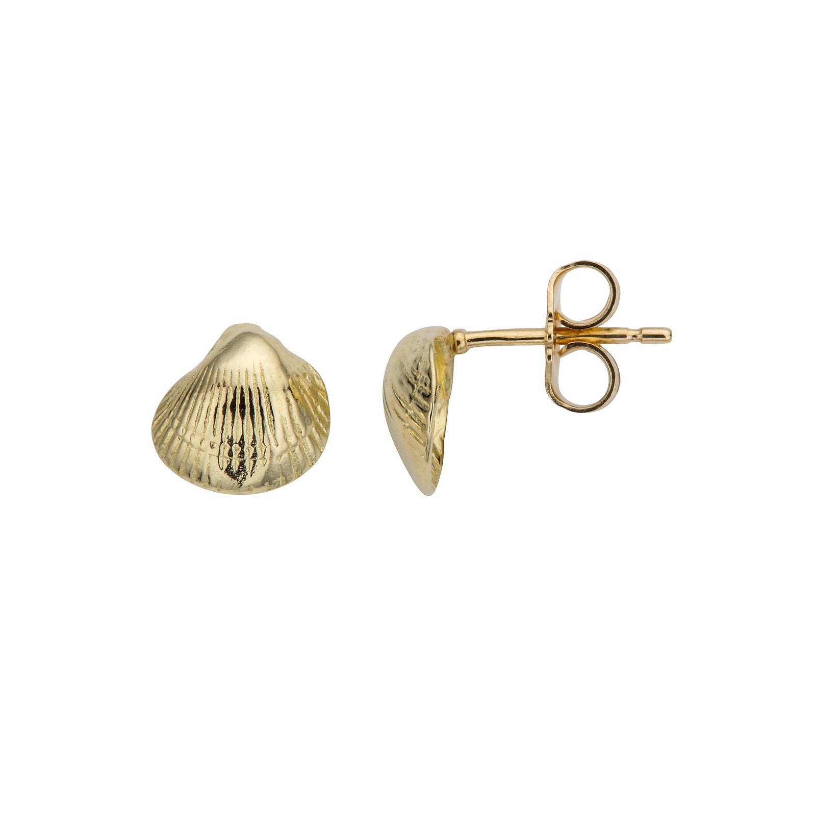 Gold Baby Shell Stud Earrings