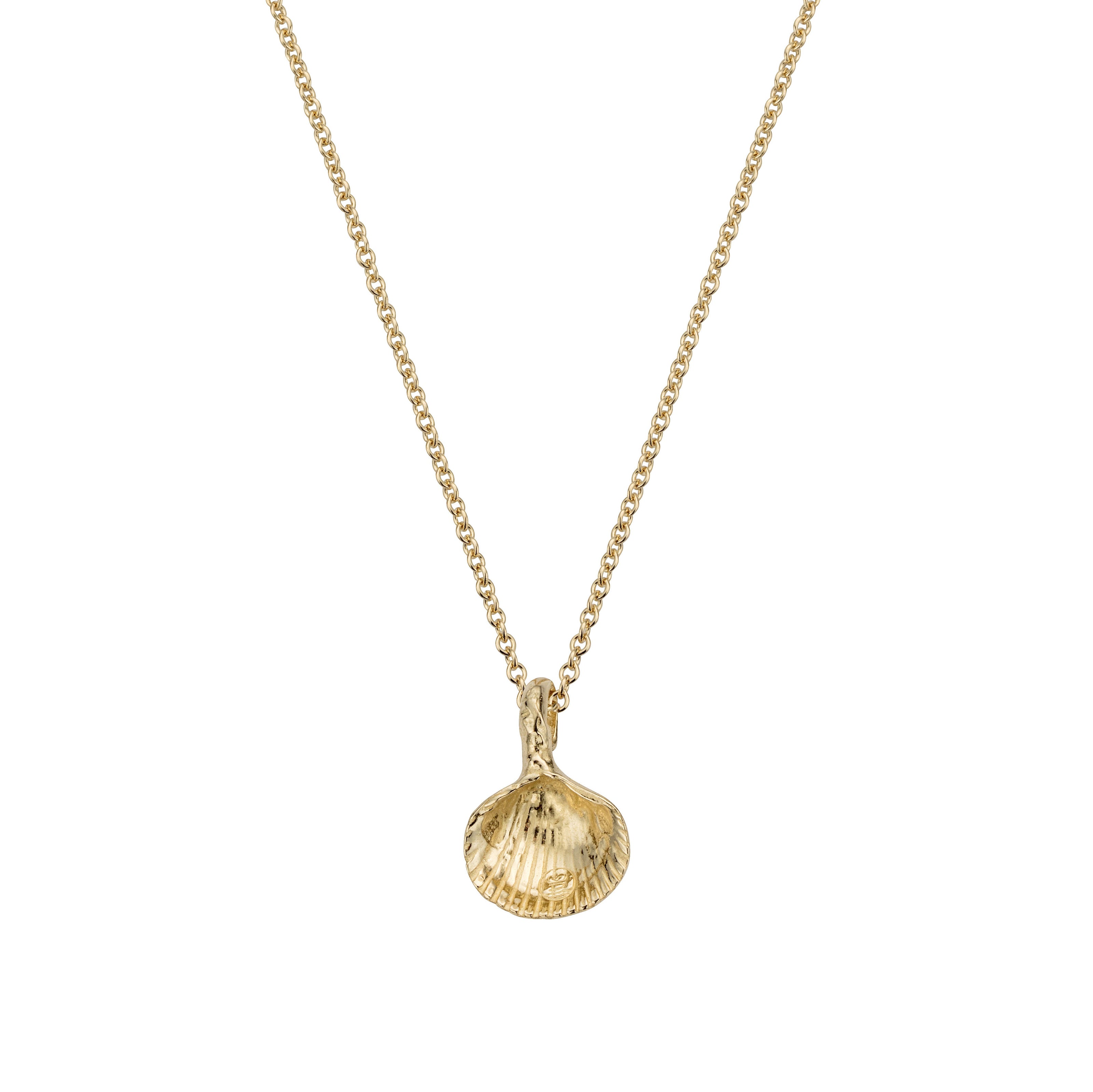 Gold Mini Shell Necklace