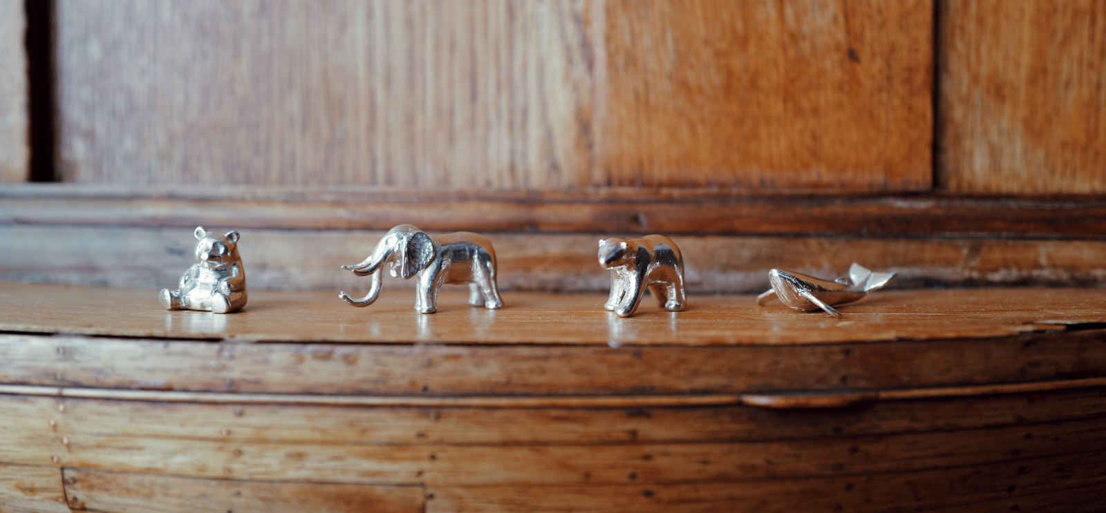 Gifts for the Future: Introducing Gaia the Elephant