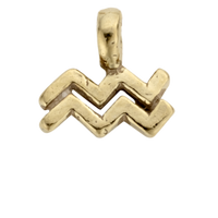 Gold Horoscope & Birthstone Charm