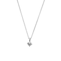 Silver Baby North Star Gift Set