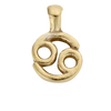 Gold Horoscope & Birthstone Charm