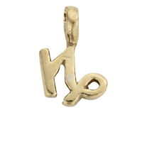 Gold Horoscope & Birthstone Charm