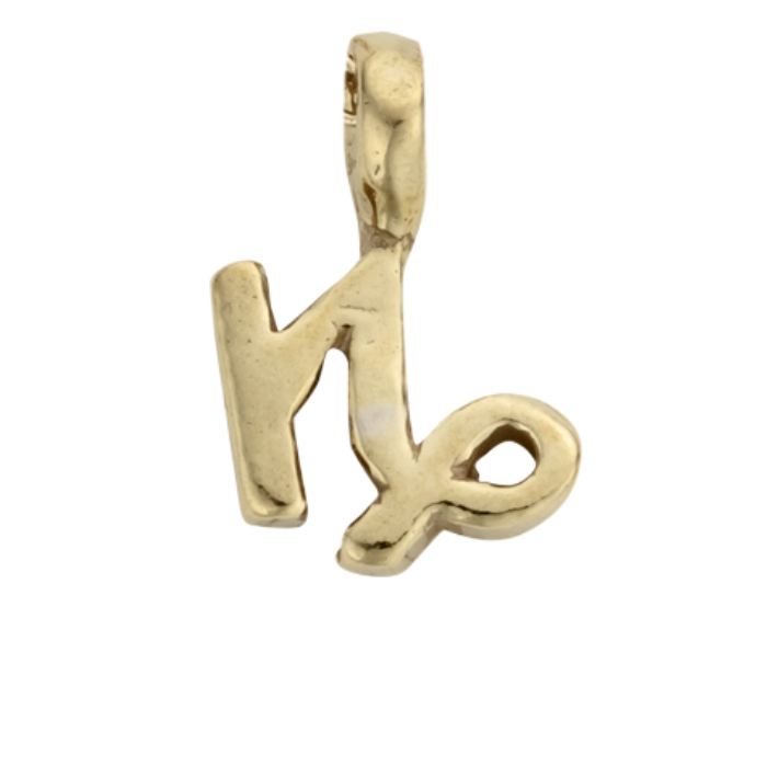 Gold Horoscope & Birthstone Charm