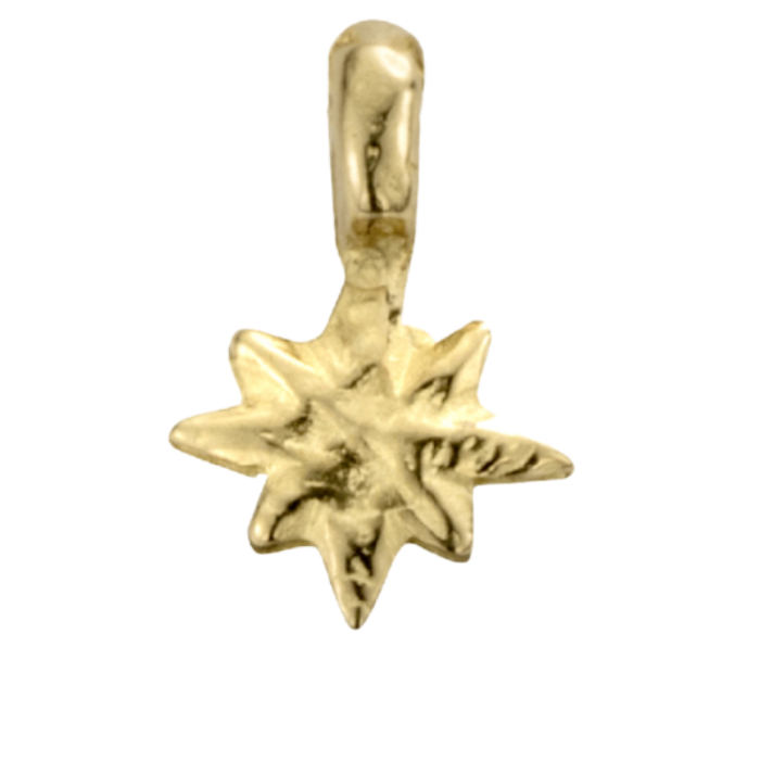 Gold Baby & Mini Charms