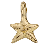 Gold Baby & Mini Charms