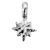 Silver Baby & Mini Charms