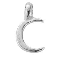 Silver Baby & Mini Charms