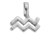 Silver Horoscope & Birthstone Charms