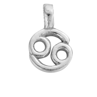 Silver Horoscope & Birthstone Charms