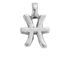Silver Horoscope & Birthstone Charms
