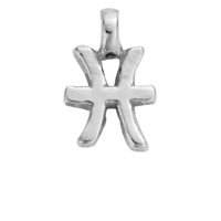 Silver Horoscope & Birthstone Charms