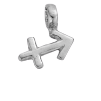 Silver Horoscope & Birthstone Charms