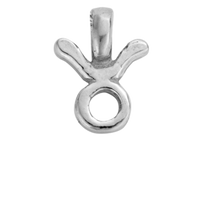 Silver Horoscope & Birthstone Charms