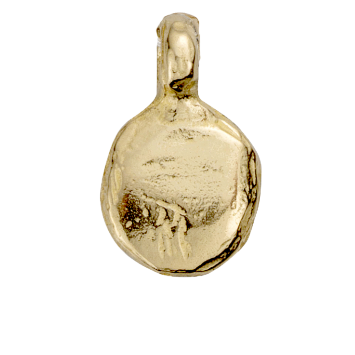 Gold Baby & Mini Charms