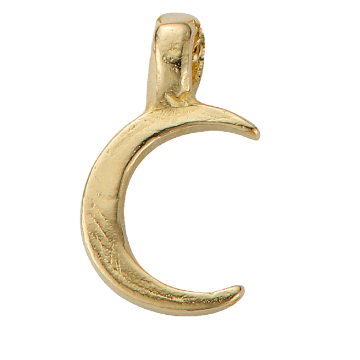 Gold Baby & Mini Charms