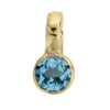 Gold Horoscope & Birthstone Charm