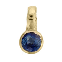 Gold Horoscope & Birthstone Charm