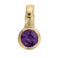 Gold Horoscope & Birthstone Charm