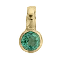 Gold Horoscope & Birthstone Charm