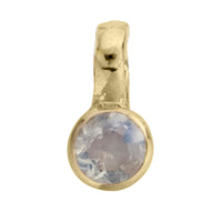Gold Horoscope & Birthstone Charm