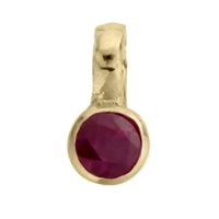 Gold Horoscope & Birthstone Charm