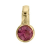 Gold Horoscope & Birthstone Charm