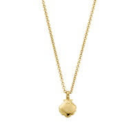 Gold Scallop Shell Necklace