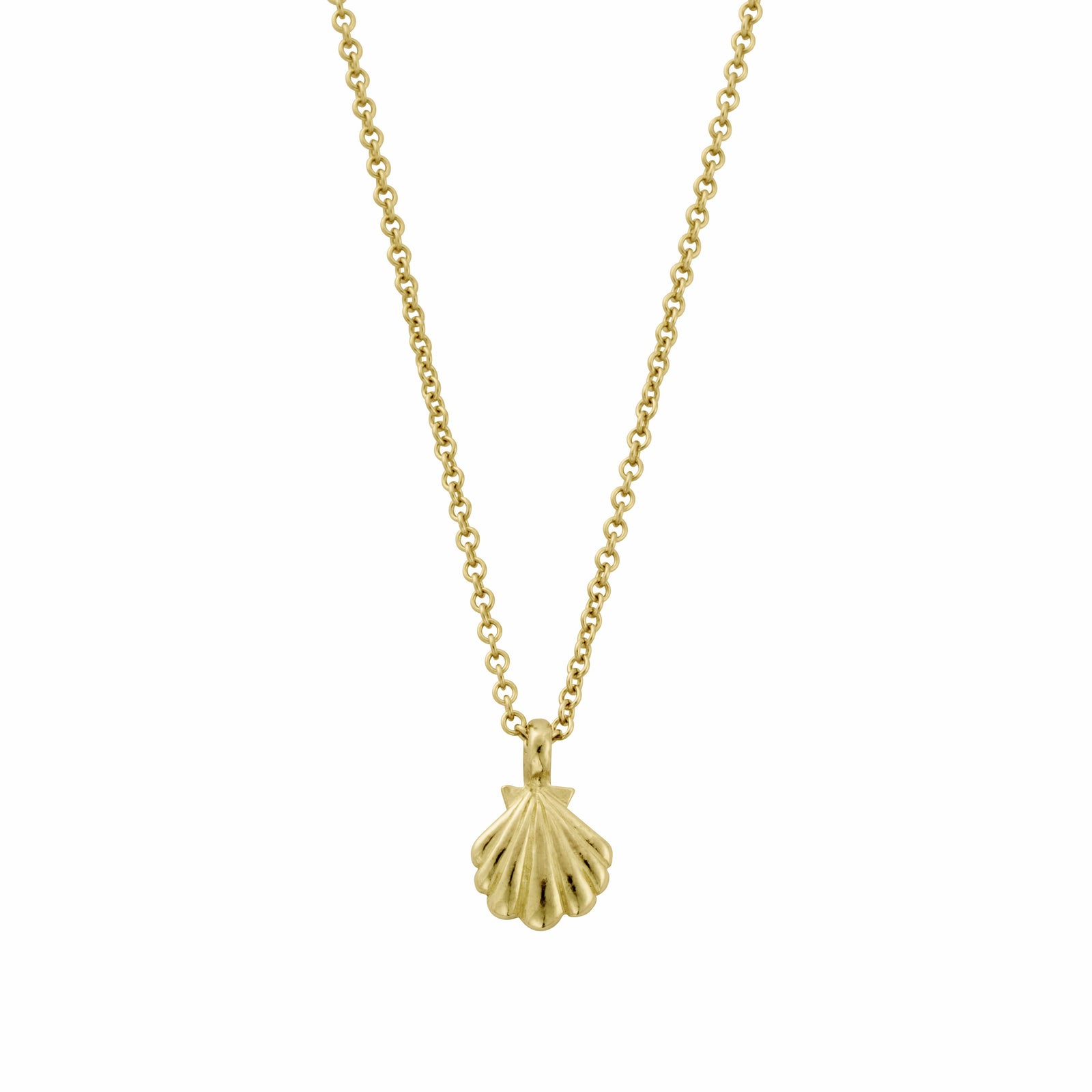 Gold Scallop Shell Necklace