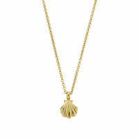 Gold Scallop Shell Necklace