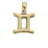 Gold Horoscope & Birthstone Charm
