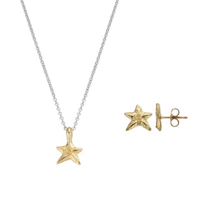 Silver & Gold Mini Star Gift Set