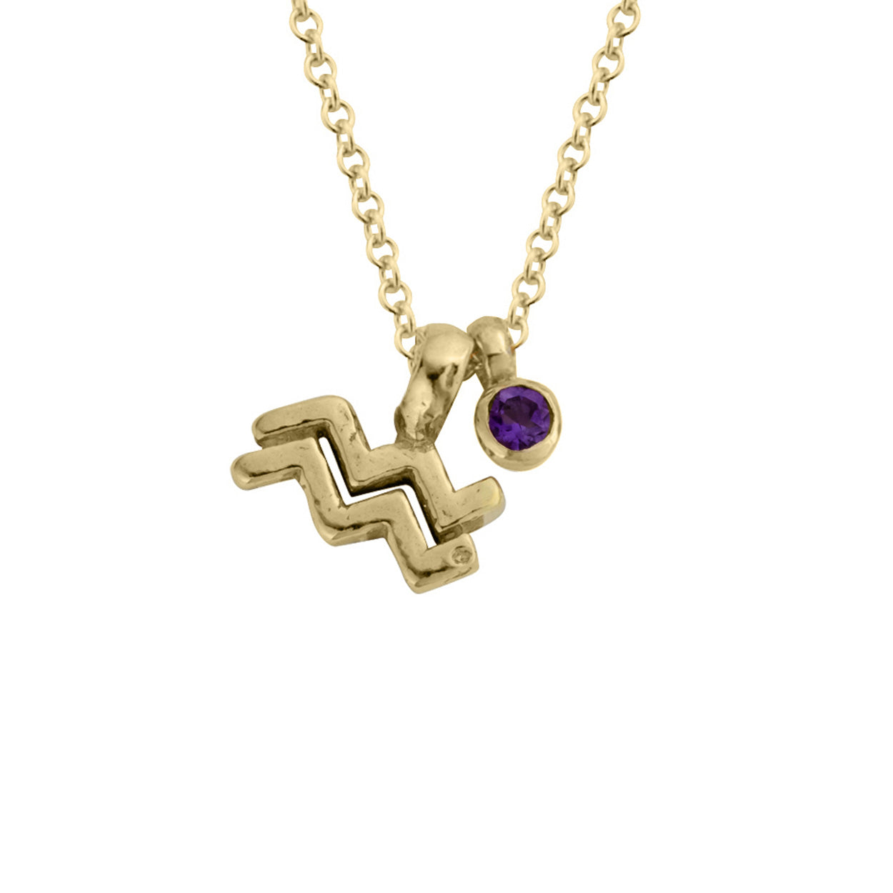 Gold Mini Aquarius Horoscope & Amethyst Birthstone Necklace