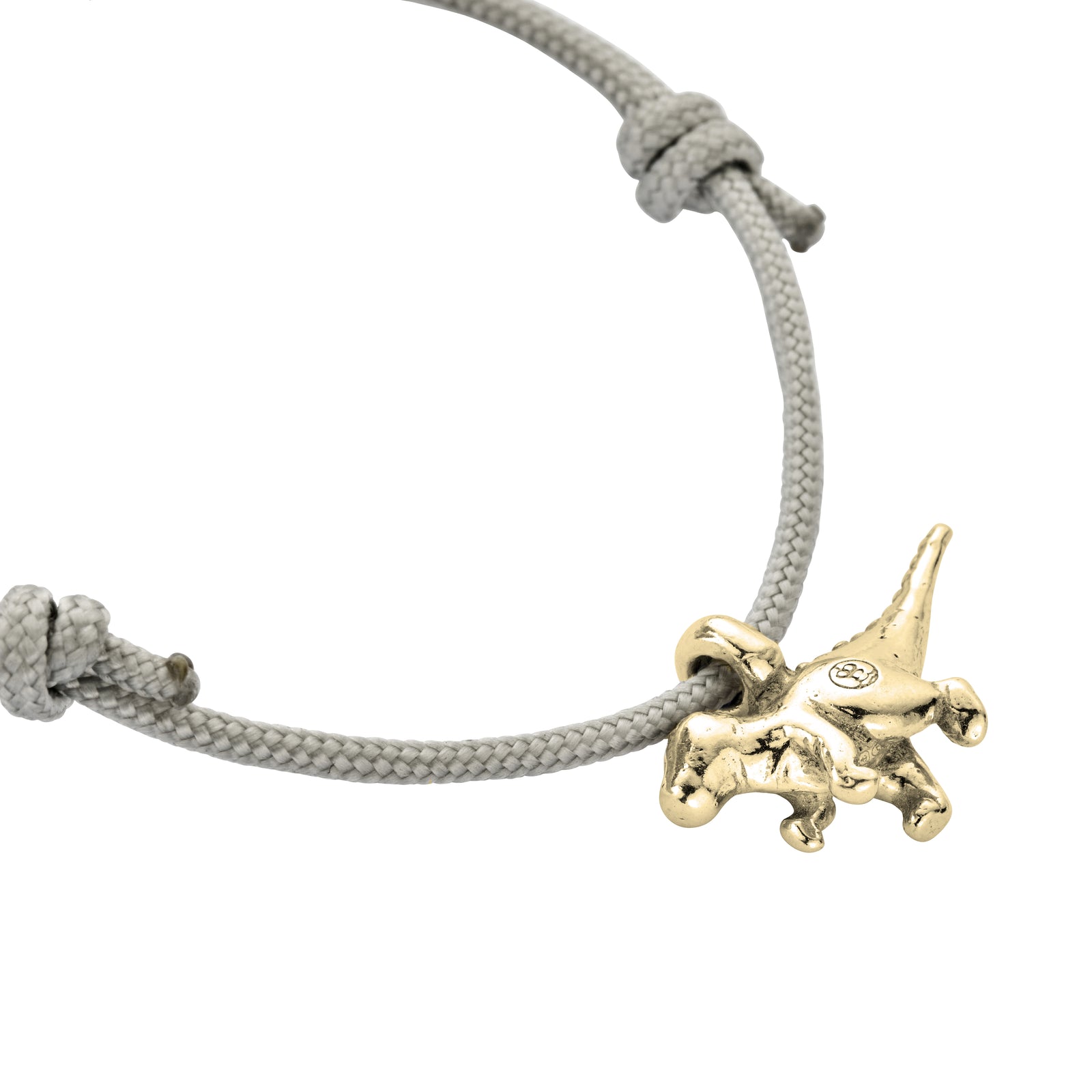 Gold Dinosaur Sailing Rope