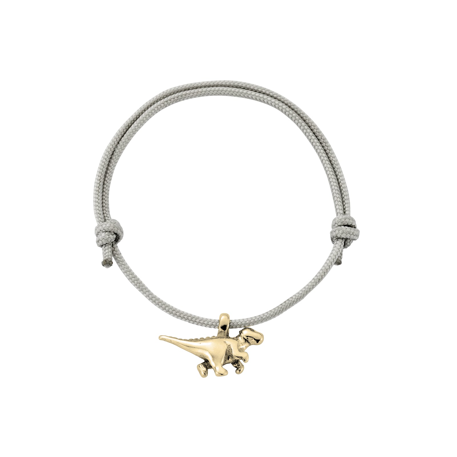 Gold Dinosaur Sailing Rope