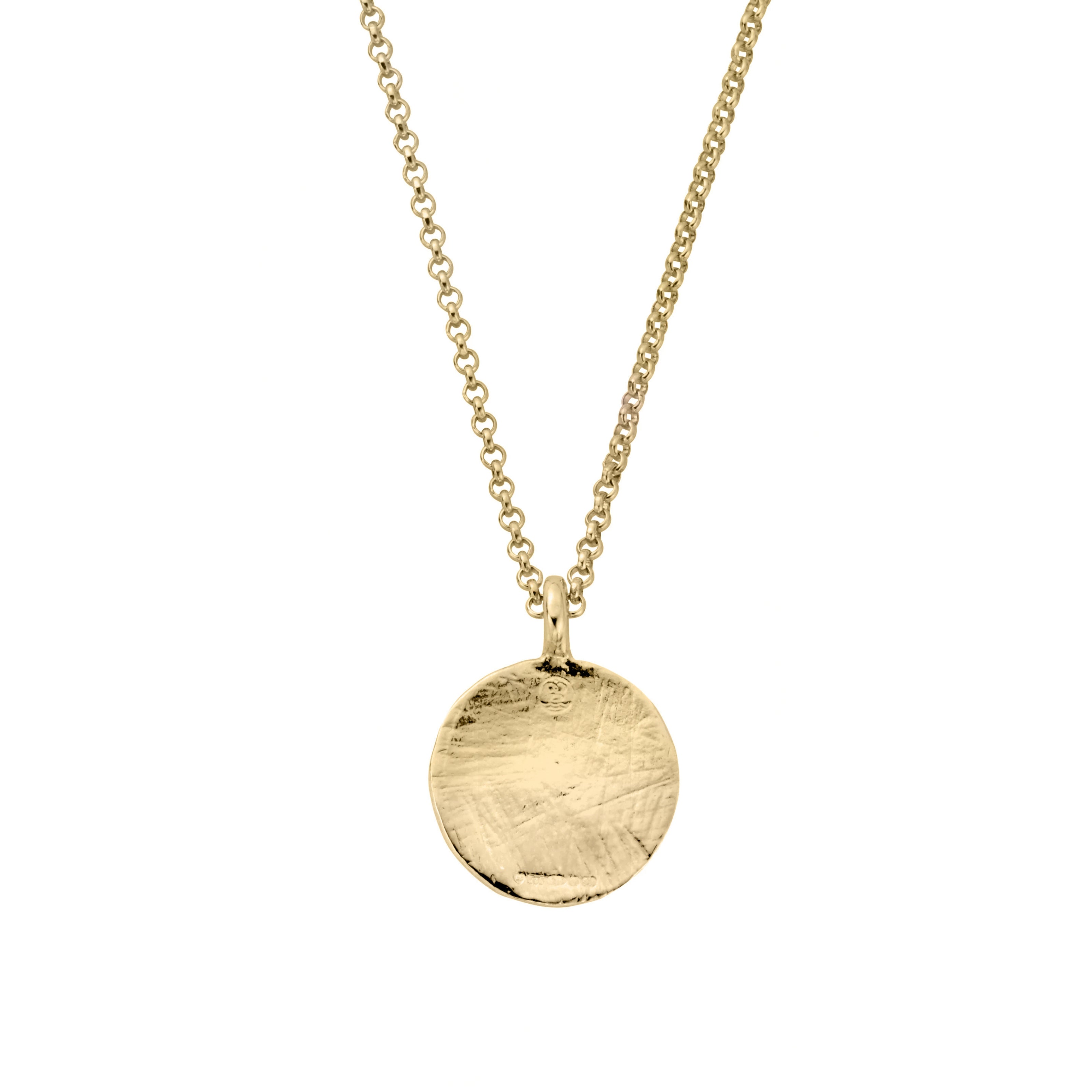 Gold Large Moon Necklace with Paw Print