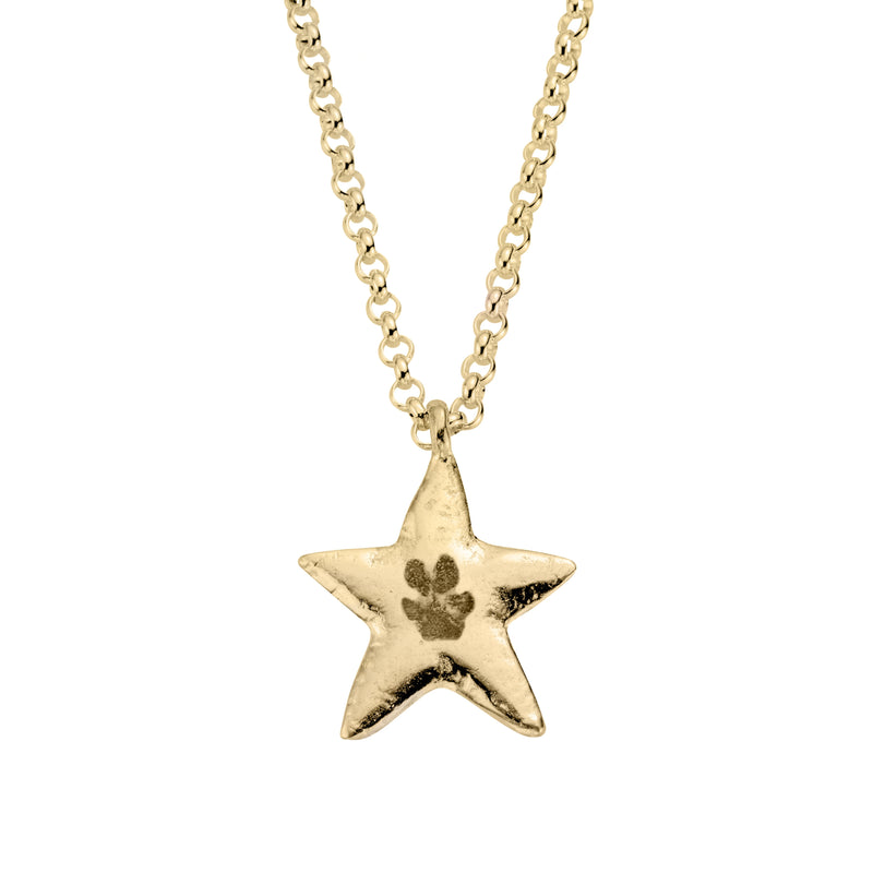 Gold Maxi Star Necklace with Paw Print