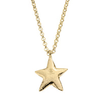 Gold Maxi Star Necklace with Paw Print