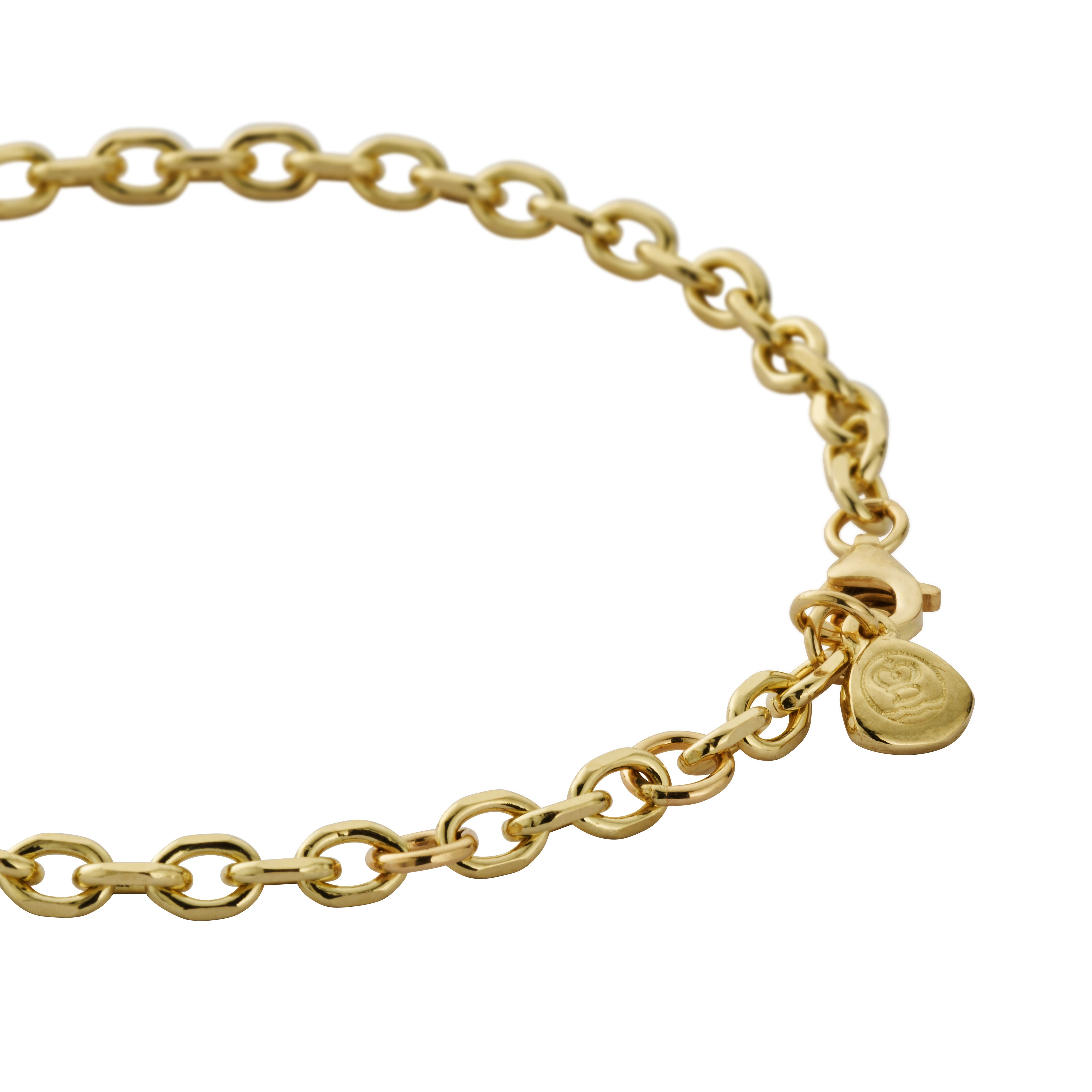 Gold Oxford Chain Bracelet – Daniella Draper