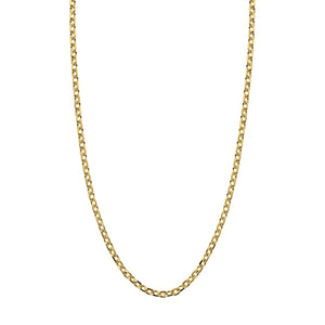 Gold Oxford Chain Necklace