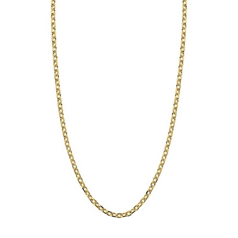 Gold Oxford Chain Necklace